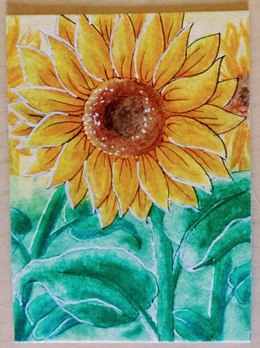 IMG_20211226_113331_978~2