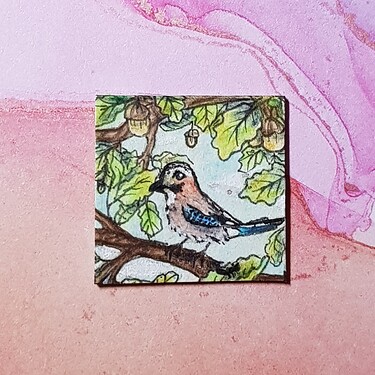 20221223_065122_resized