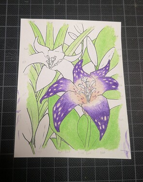 IMG_20230327_225137_edit_433338027397937