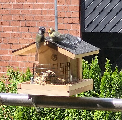 Screenshot_20240523_120901_Gallery