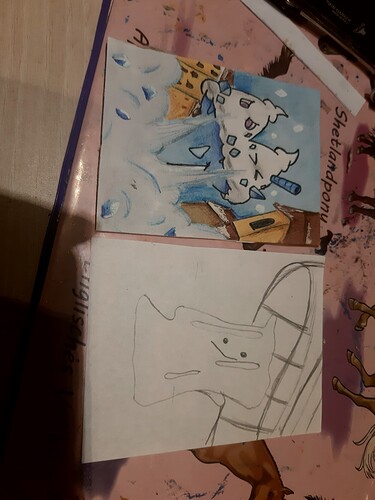 16252513342334920088534415521096