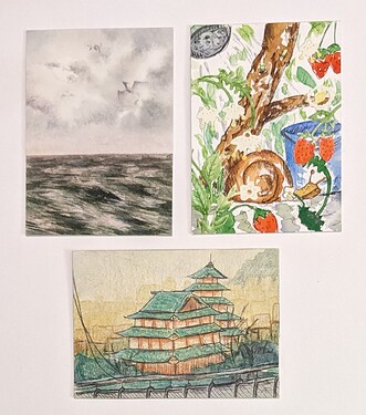 PXL_20240216_164245334~2