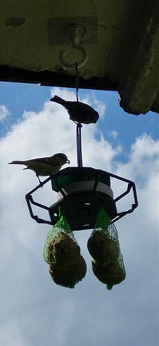 Screenshot_20240526_115906_Gallery