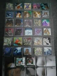 IMG_20211224_0440301