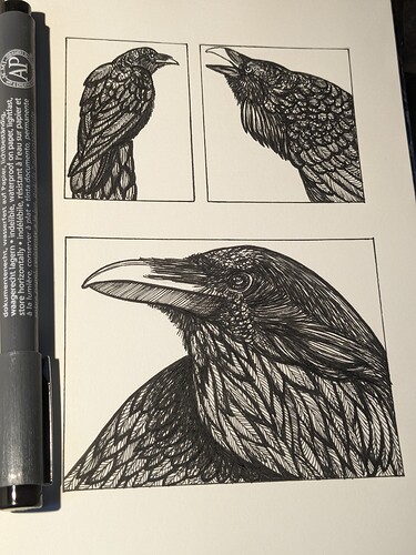 PXL_20240211_114011186