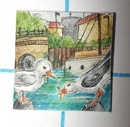 IMG_20231213_063947_edit_178234412904572