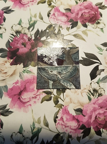 130530471_533303407627335_5620257405812943991_n (1)