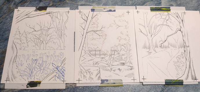 Waldlandschaften_Lines