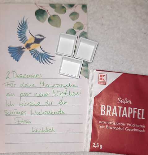 WhatsApp Image 2023-12-02 at 08.49.04