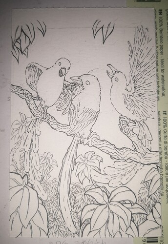 IMG_20230917_200024_edit_612488211401332