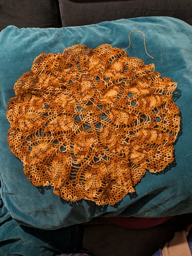 PXL_20241225_202152225