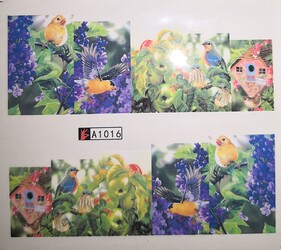 IMG_20241218_194618_edit_229848658043572