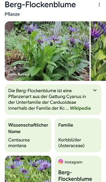Screenshot_20240502_161808_Google