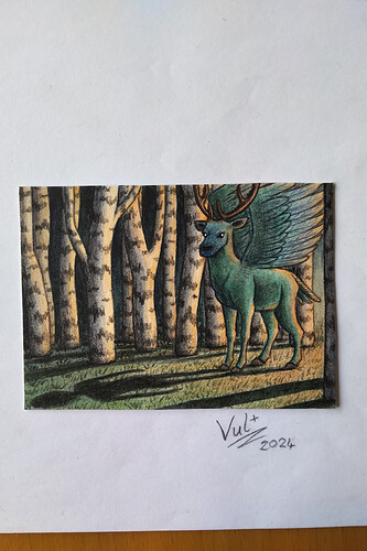 IMG_20240614_1157429