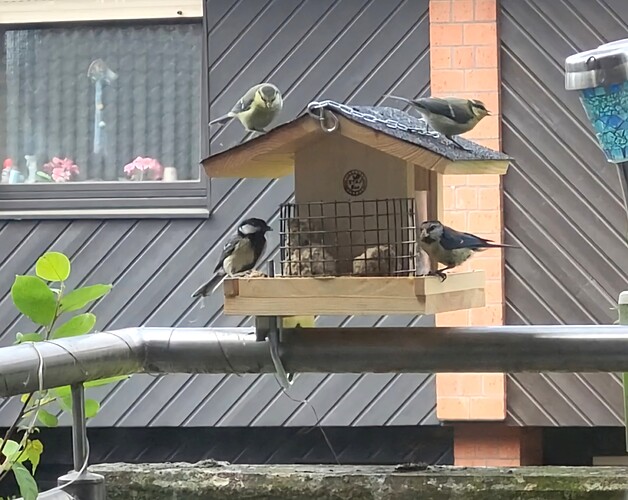 Screenshot_20240530_113806_Gallery