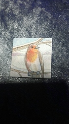 20191223_044526_resized