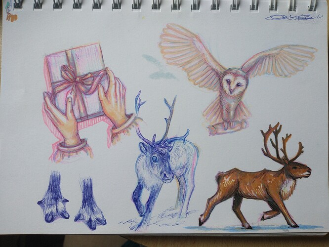 IMG_20240101_131046178