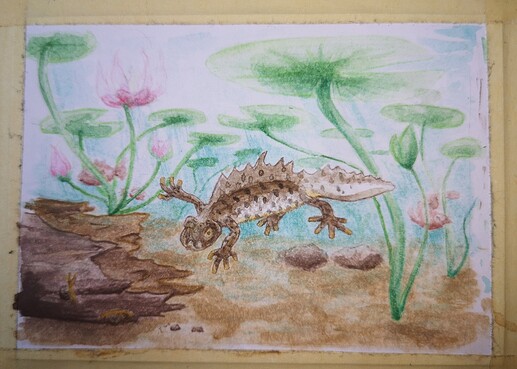 IMG_20230428_162933_edit_1719993707983376