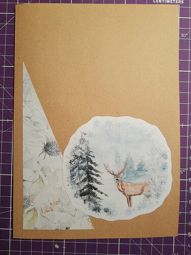 IMG_20221121_174743129