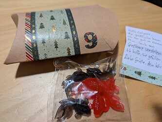 PXL_20251210_124721790