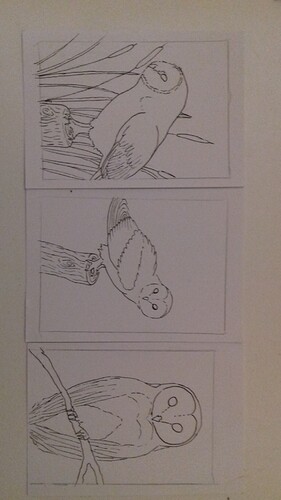 1611253017176-2074534000