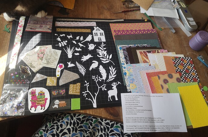 IMG_20240821_111419_edit_2398265352827274