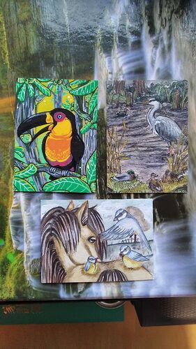 IMG_20230405_073721_200