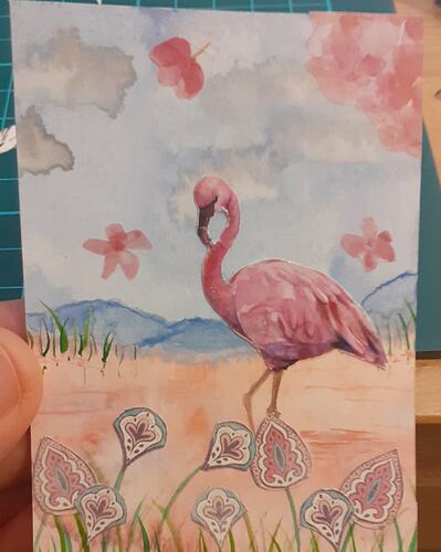 Flamingo