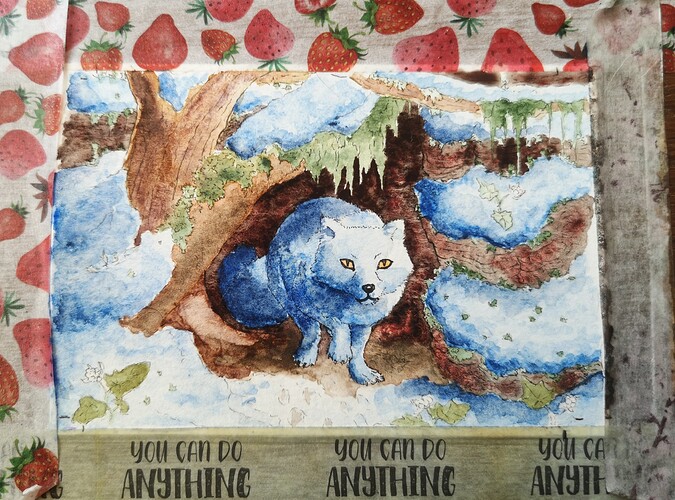 IMG_20241205_113338_edit_351625361827594