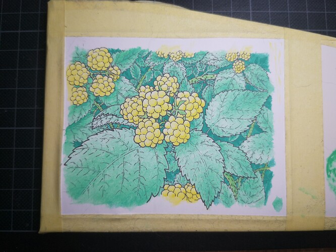 IMG_20230329_213127_edit_502095619766091