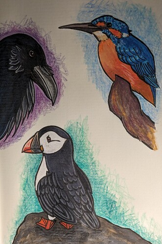 PXL_20240215_180830993