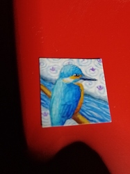 IMG_20201219_0559541