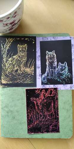 WhatsApp Image 2022-01-18 at 11.55.54