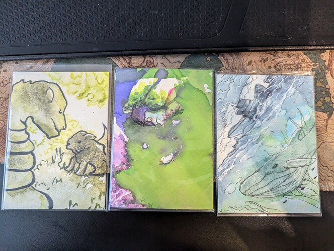 PXL_20240814_174839345