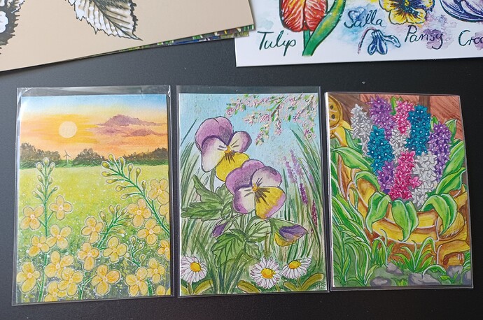 STA_Frühlingsblumen