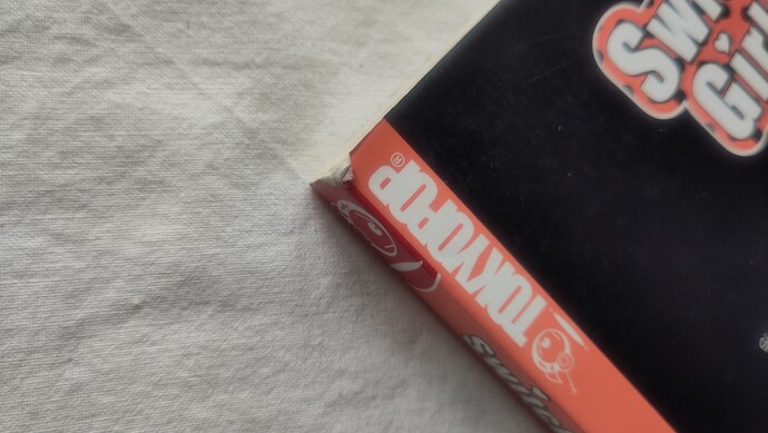 SwitchGirl_Manga (3)