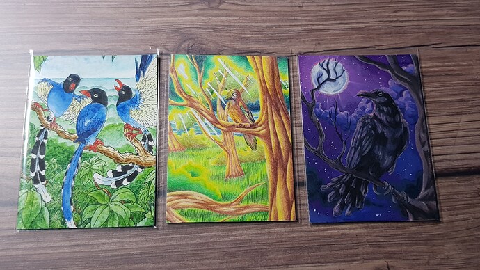 20231116_164247_resized