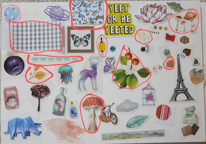 IMG_20220618_121335878~3