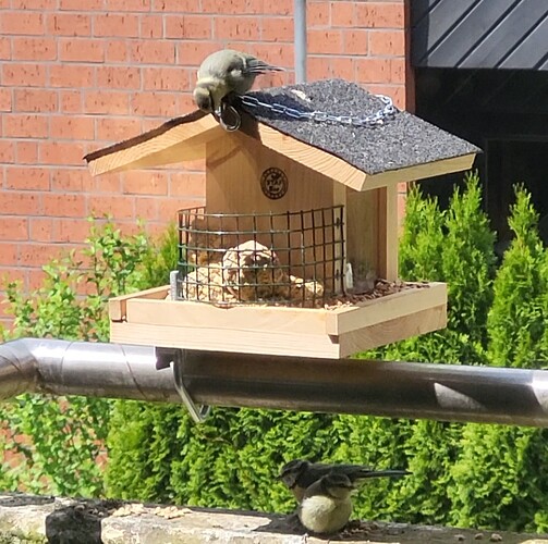 Screenshot_20240523_121129_Gallery