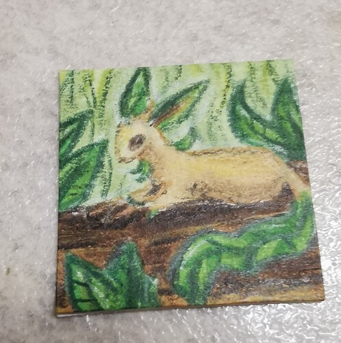 IMG_20211223_072101_edit_370760896036655