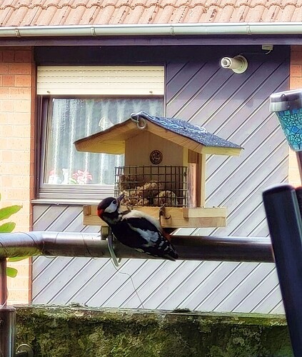 36252c0b-80ef-4fab-b7d1-954239810814