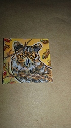 20191217_041116_resized