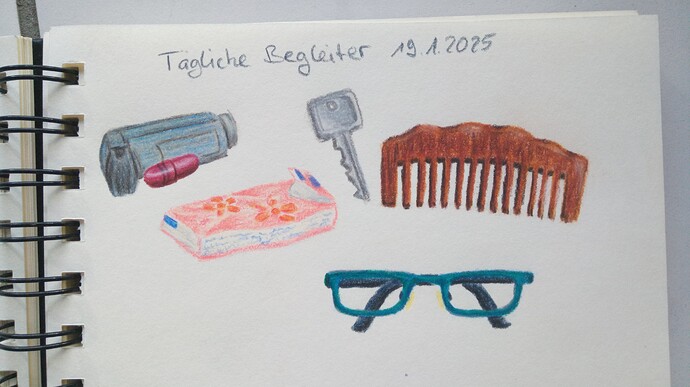 IMG_20250119_131750_5~2