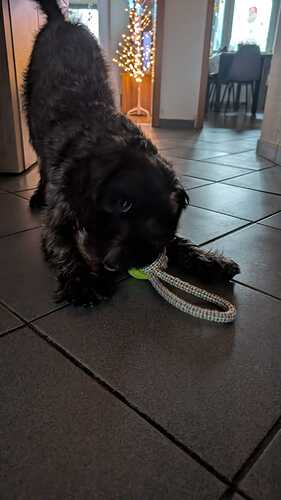 0eb2a5ff-8d98-4a98-af3c-6280ab5b5cb4