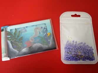 IMG_20221222_1451341