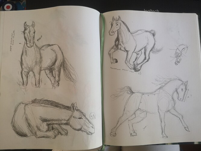 IMG_20240902_151246_edit_2799858842178492