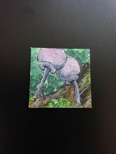 317670017_1144578333117254_1434113044657147182_n