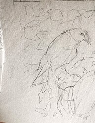 IMG_20240401_144209_edit_28246476434230