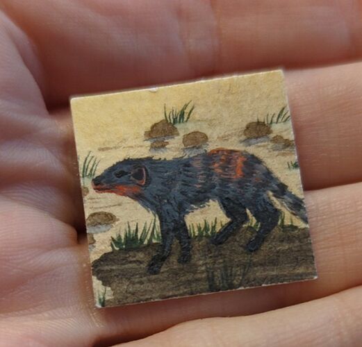 IMG_20221210_084941_886