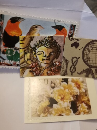 IMG_20241209_110833_edit_326973850681356